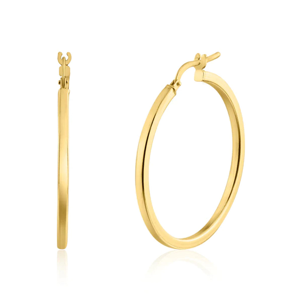 Fancy Hoop Earrings